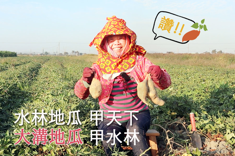 1664502388347518.jpg 166418098975772990.jpg