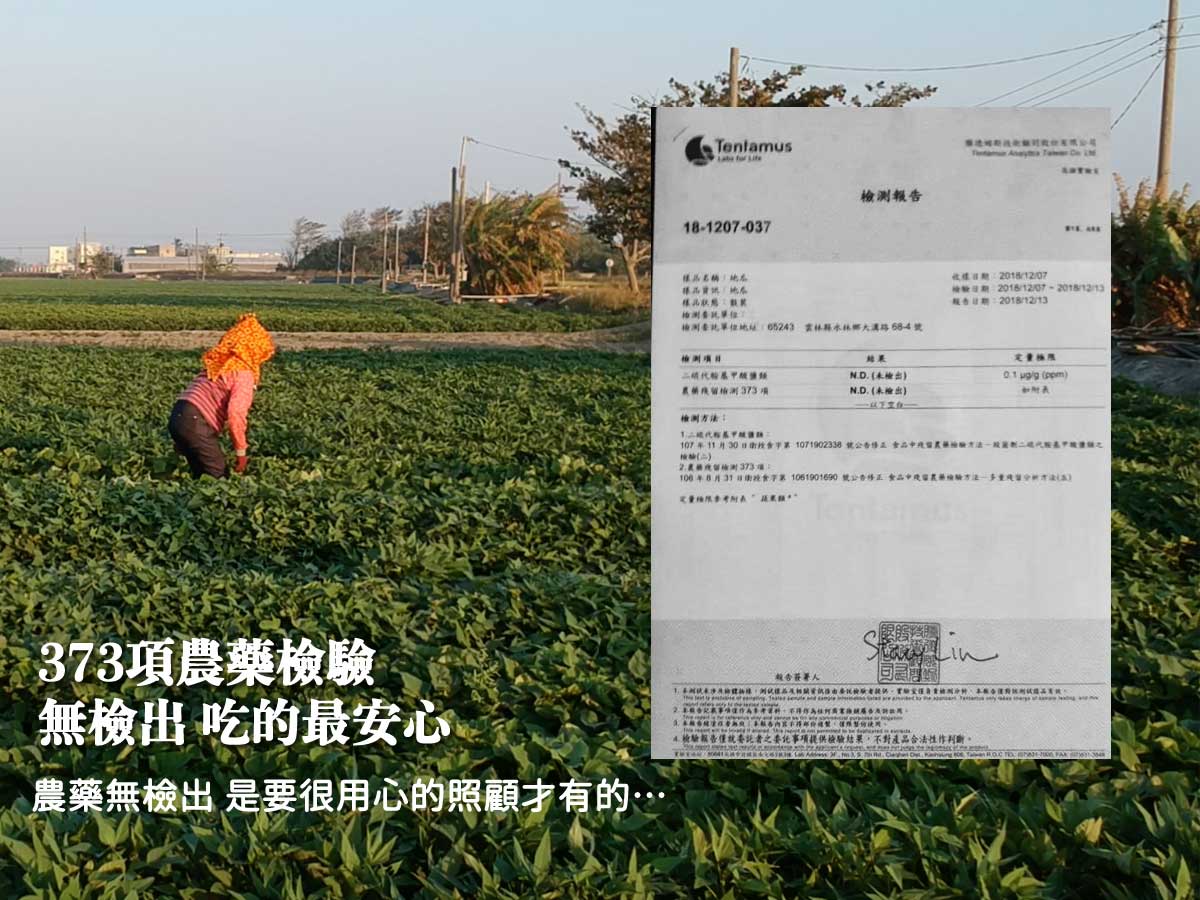 1664502435780724.jpg 166418099039257518.jpg